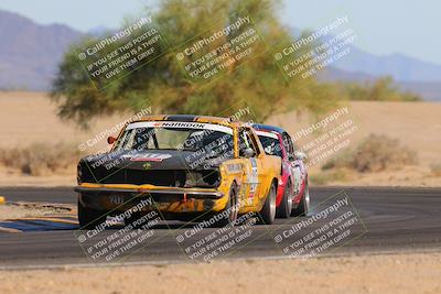 media/Oct-15-2023-Lucky Dog Racing Chuckwalla (Sun) [[f659570f60]]/4th Stint Turn 4 Tree of Life/